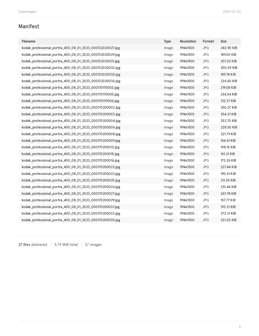 Manifest table showing filename, type, resolution, format, and size